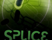 Splice