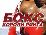Бокс Короли Ринга