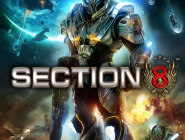 Section 8