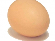 Egg