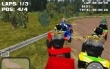 Lawnmower Racing 3D