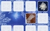 Snowflakes fast image