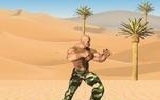 Desert Ambush