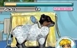 My Cute Puppy