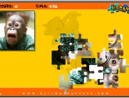 Jig Saw Puzzle Monkey