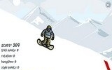 SnowBoard Stunts