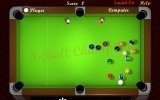 8-ball champion