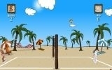 Beach Volleyball