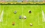 Pet Soccer