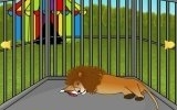 Lion cage escape