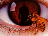 Candyman