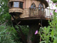 Tree House