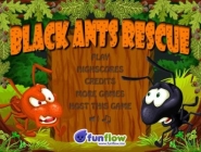Black Ants Rescue