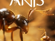 Empire of the Ants