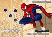 Spiderman Costume