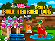 Bull Terrier Dog