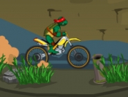 Ninja Turtle Bike