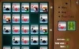 Solitaire Poker Shuffle