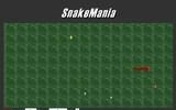 Snakemania