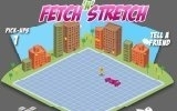 Fetch