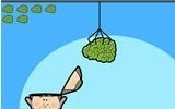 Give Bush A Brain Game