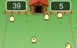 Catch the chicks