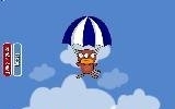 Flying Platypus