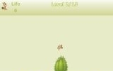 Raccoon Rush