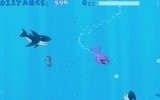 Seals vs Sharks