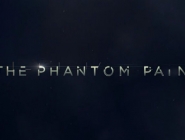   The Phantom Pain