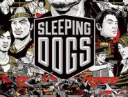   Sleeping Dogs