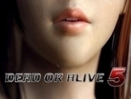 Team Ninja  Dead or Alive 5 Ultimate