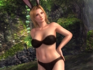 Dead or Alive 5    PC