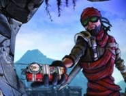На Steam-версию Borderlands 2 наложили ограничения