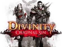  Divinity: Original Sin