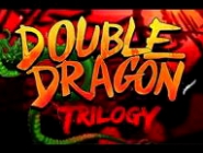 Double Dragon Trilogy   Steam 15 